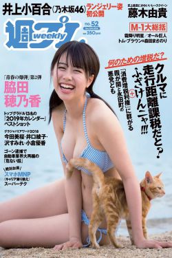 乐游原电视剧免费观看完整版